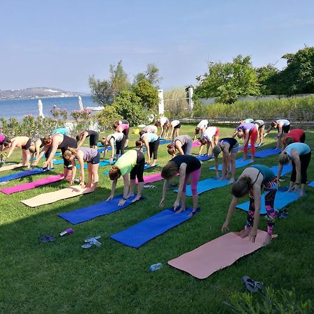 ליקסורי Alekos Beach Houses-Alekos Beach Complex מראה חיצוני תמונה