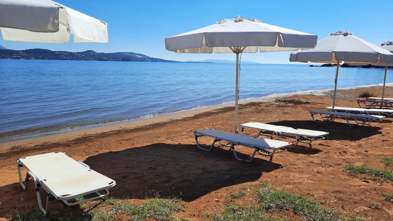 ליקסורי Alekos Beach Houses-Alekos Beach Complex מראה חיצוני תמונה