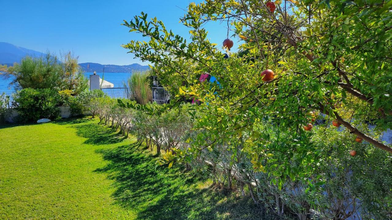 ליקסורי Alekos Beach Houses-Alekos Beach Complex מראה חיצוני תמונה